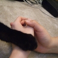 僕も混ざるのnya。