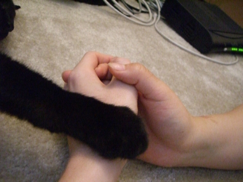僕も混ざるのnya。
